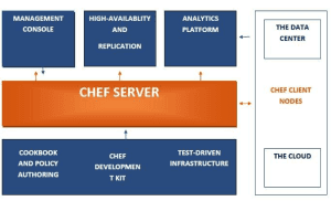 chef-fig2