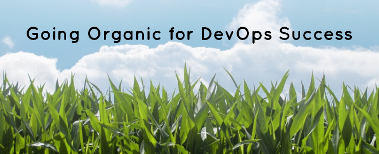 Organic engineering team a must for long term DevOps success
