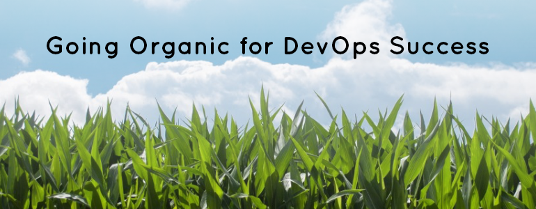 Organic engineering team a must for long term DevOps success