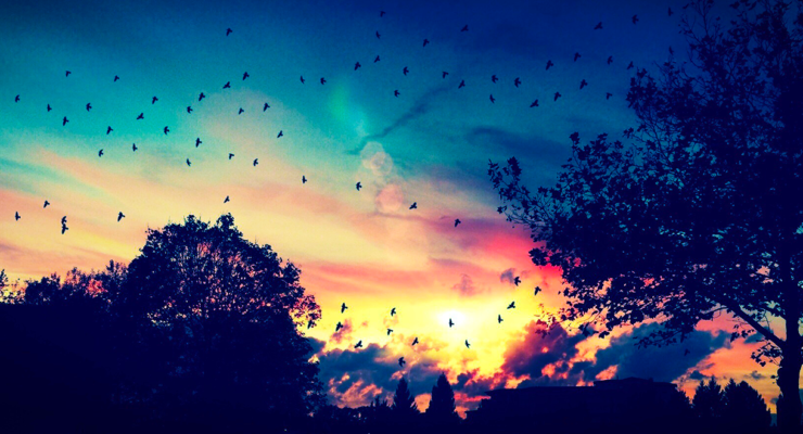Migrating to the Cloud? Some practical advice