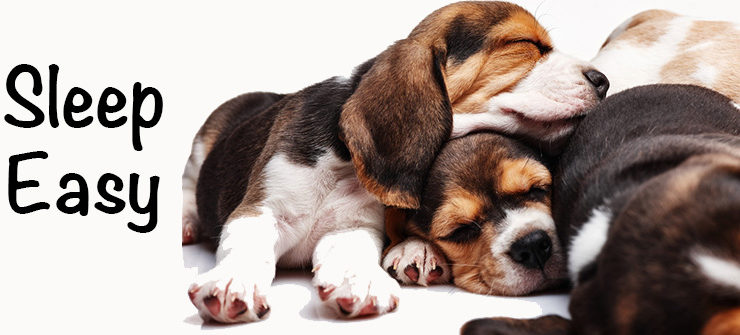 Sleep easy: release automation reduces DevOps security threats