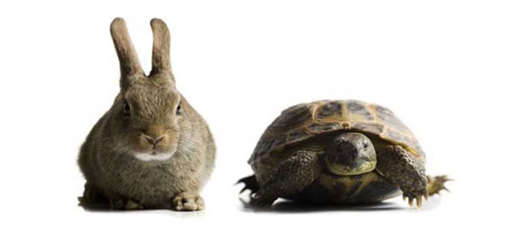 Bimodal IT and Remodeling Traditional IT for Greater Agility