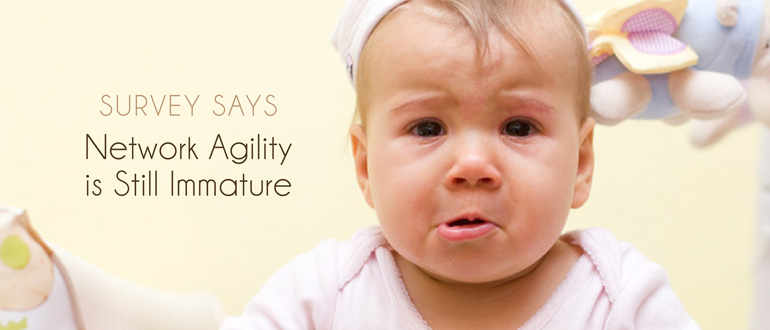 Survey says network agility is still immature
