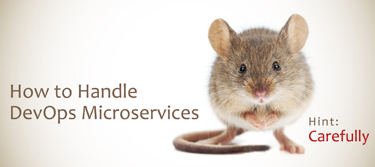 How to Handle DevOps Microservices (Hint: Carefully)