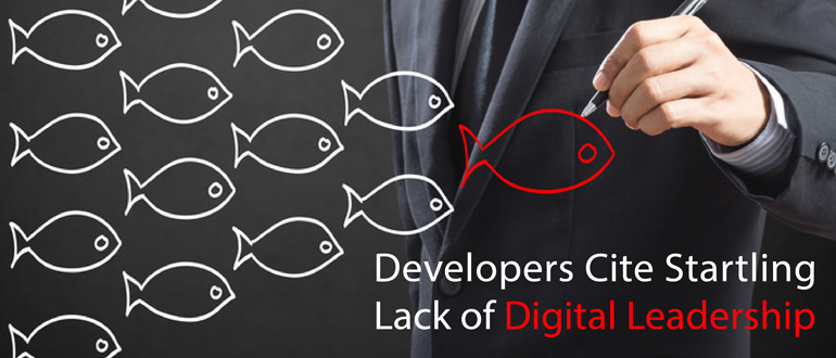 Developers Cite Startling Lack of Digital Leadership