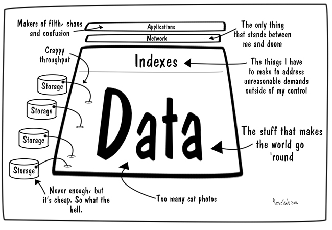 How a Data Architect Sees the World