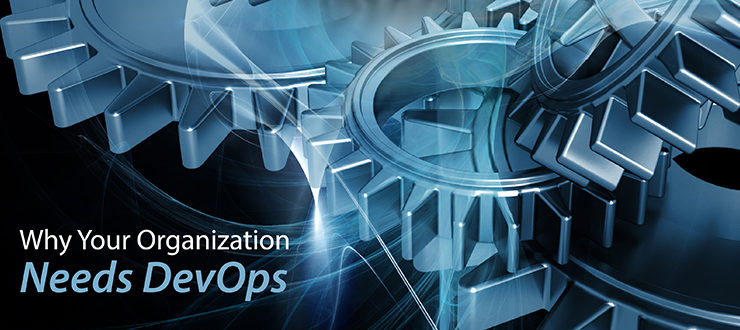 Why Your Organization Needs DevOps