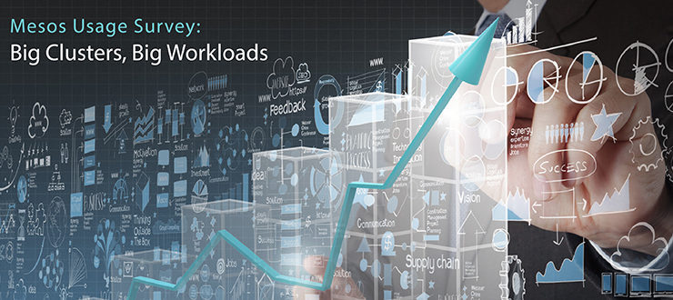 Mesos Usage Survey: Big Clusters, Big Workloads