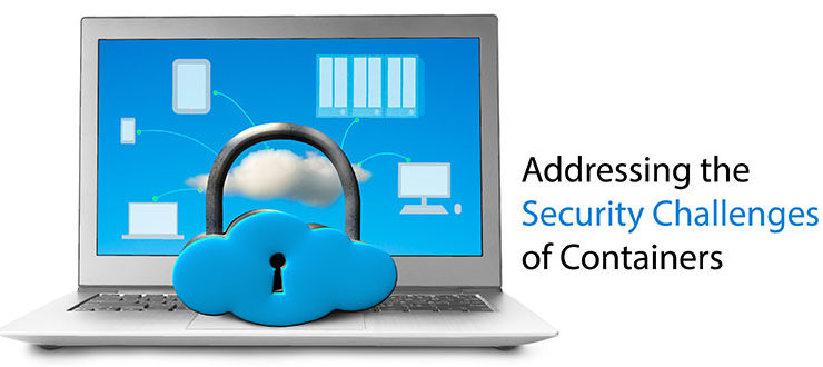 Addressing Container Security Challenges