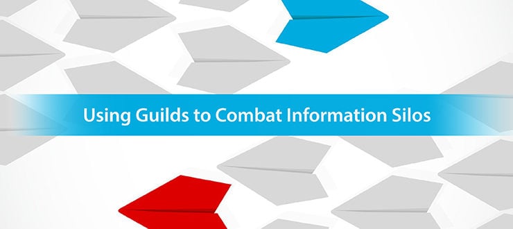 Using Guilds to Combat Information Silos