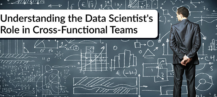 Understanding the Data Scientist's Role in Cross-Functional Teams