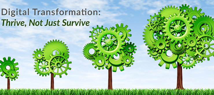 Digital Transformation: Thrive, Not Just Survive