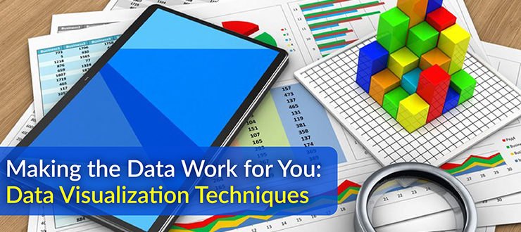 Making the Data Work for You: Data Visualization Techniques