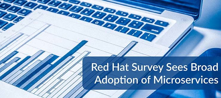 Red Hat Survey Microservices