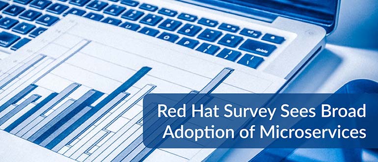 Red Hat Survey Microservices