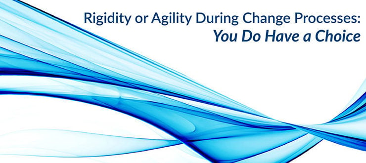 Rigidity or Agility During Change Processes