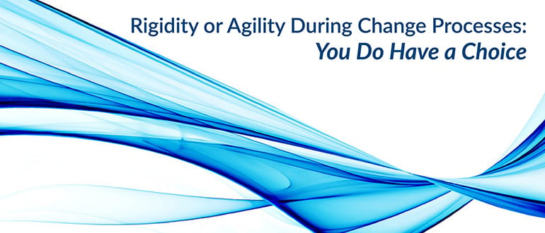 Rigidity or Agility During Change Processes