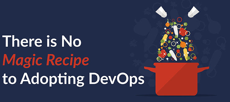 No Magic Recipe to Adopting DevOps