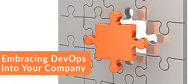 Embracing DevOps into Your Company