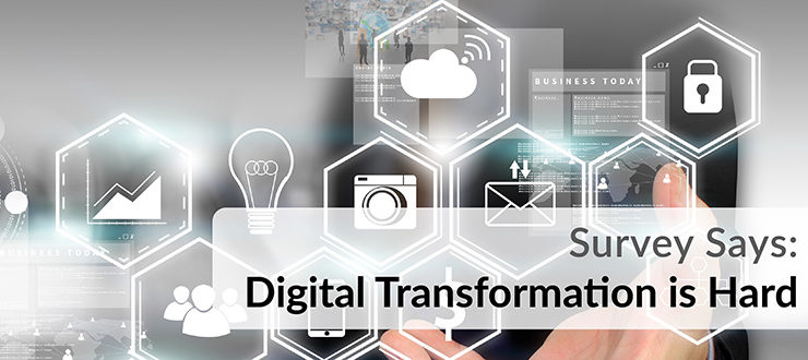 Digital Transformation is Hard Survey