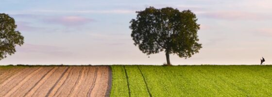 environment green eco-friendly Are you in an IoT greenfield, or an IoT brownfield?