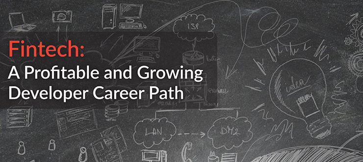 Profitable Growing Developer Career Path