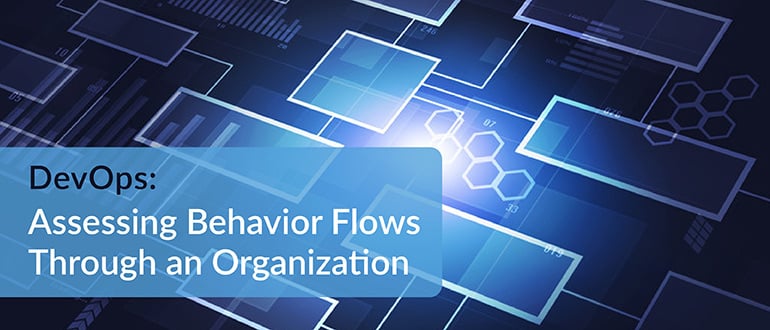 Assessing Behavior Flows Through an Organization