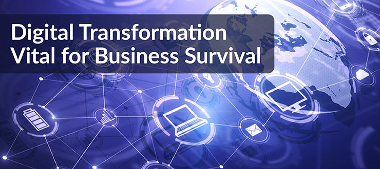 Digital Transformation Vital for Business Survival