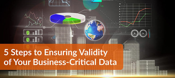 Steps to Ensuring Validity of Your Business-Critical Data