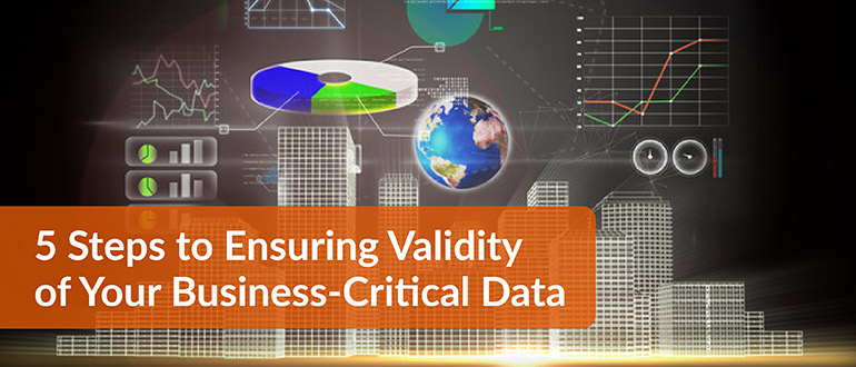 Steps to Ensuring Validity of Your Business-Critical Data