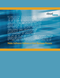 The Rise of Software Delivery Management