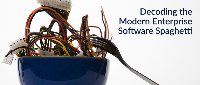 Decoding Modern Enterprise Software Spaghetti