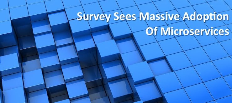 survey microservices