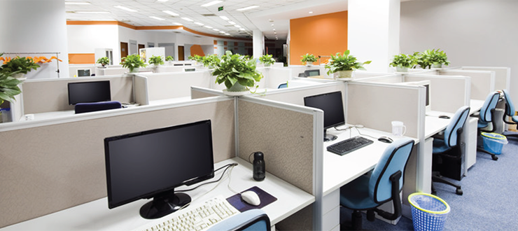Startup for Startup: How actions define company culture