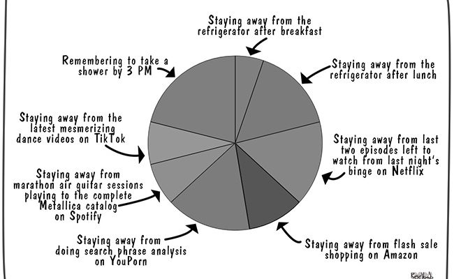 stuggles-of-working-from-home
