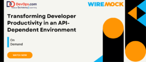 Transforming Developer Productivity in an API-Dependent Environment
