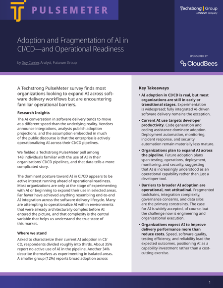 CloudBees PulseMeter Report cover
